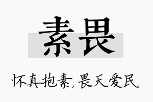 素畏名字的寓意及含义