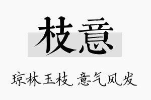 枝意名字的寓意及含义