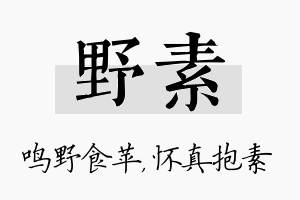 野素名字的寓意及含义