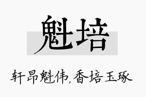 魁培名字的寓意及含义