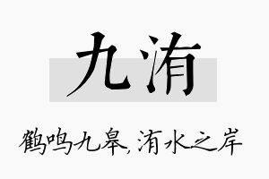 九洧名字的寓意及含义