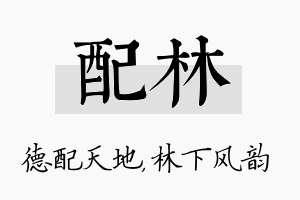 配林名字的寓意及含义