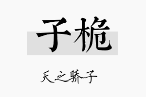 子桅名字的寓意及含义