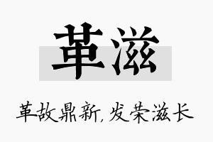 革滋名字的寓意及含义