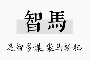 智马名字的寓意及含义