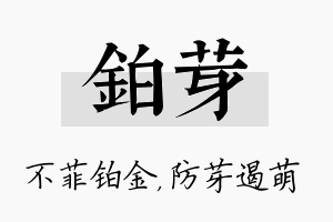 铂芽名字的寓意及含义