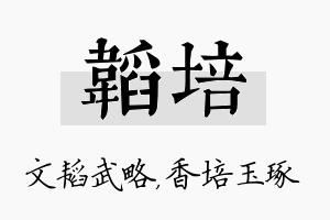 韬培名字的寓意及含义