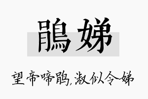 鹃娣名字的寓意及含义