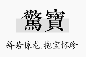 惊宝名字的寓意及含义