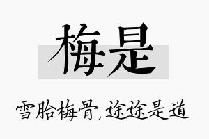 梅是名字的寓意及含义