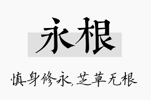 永根名字的寓意及含义