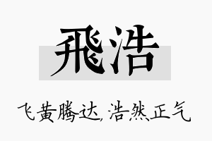 飞浩名字的寓意及含义