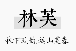 林芙名字的寓意及含义