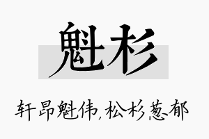 魁杉名字的寓意及含义