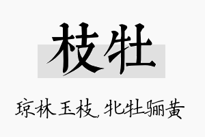 枝牡名字的寓意及含义