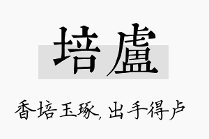 培卢名字的寓意及含义