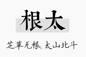 根太名字的寓意及含义