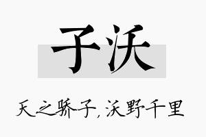 子沃名字的寓意及含义