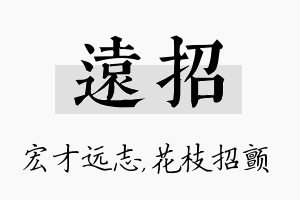 远招名字的寓意及含义