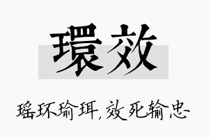 环效名字的寓意及含义