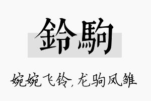 铃驹名字的寓意及含义