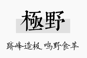 极野名字的寓意及含义