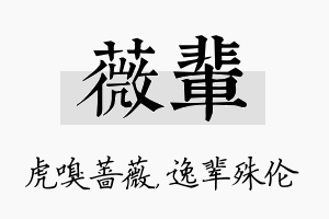 薇辈名字的寓意及含义