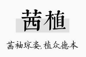 茜植名字的寓意及含义