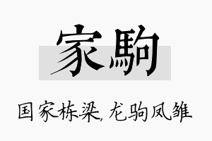 家驹名字的寓意及含义