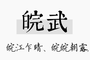 皖武名字的寓意及含义