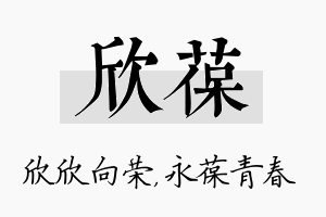 欣葆名字的寓意及含义