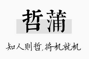 哲蒲名字的寓意及含义