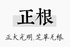 正根名字的寓意及含义