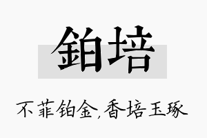 铂培名字的寓意及含义