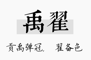 禹翟名字的寓意及含义