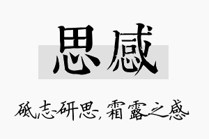 思感名字的寓意及含义