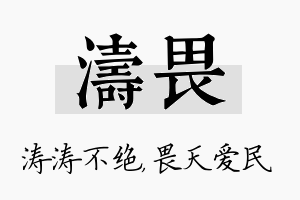 涛畏名字的寓意及含义