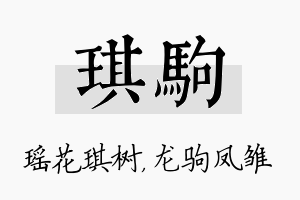 琪驹名字的寓意及含义