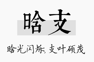 晗支名字的寓意及含义