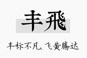 丰飞名字的寓意及含义