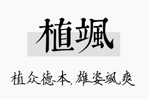 植飒名字的寓意及含义