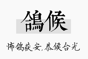 鸽候名字的寓意及含义