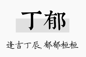 丁郁名字的寓意及含义