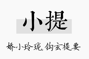 小提名字的寓意及含义