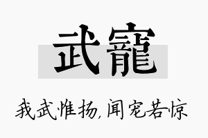 武宠名字的寓意及含义