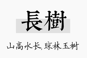 长树名字的寓意及含义