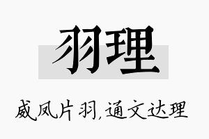 羽理名字的寓意及含义