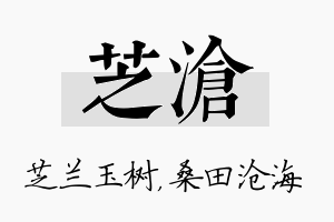 芝沧名字的寓意及含义