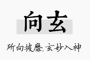 向玄名字的寓意及含义