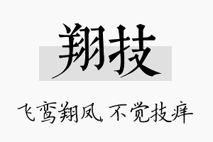 翔技名字的寓意及含义